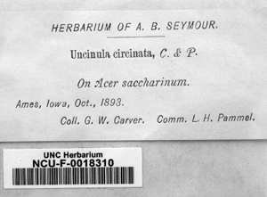 herbarium specimen label by George Washington Carver