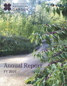 cover of fiscal year 2016 annual report