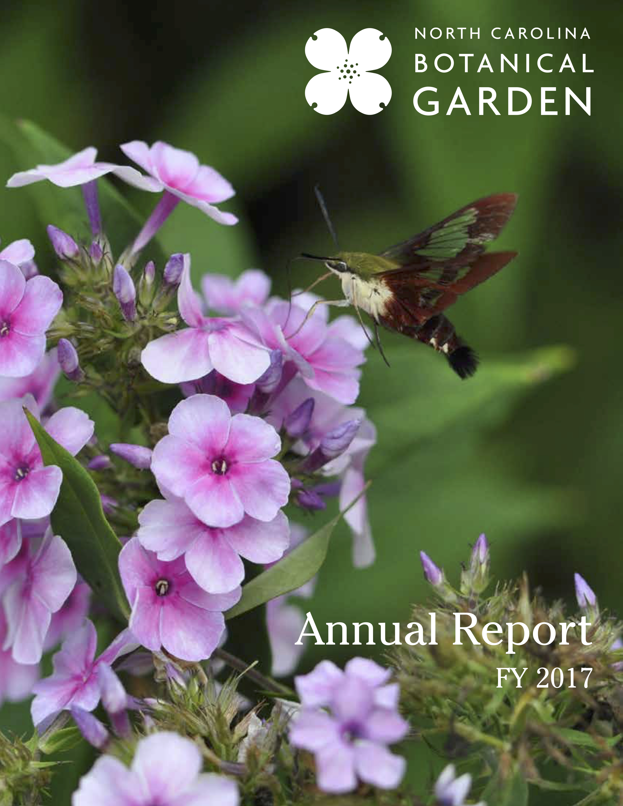 cover of fiscal year 2017 annual report
