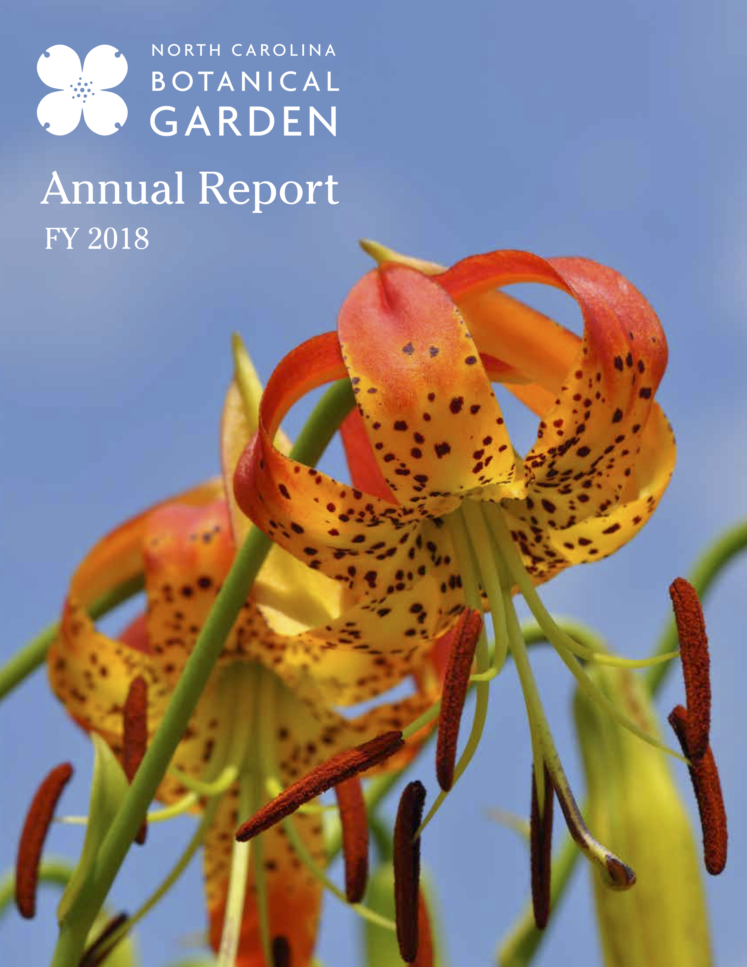 cover of fiscal year 2018 annual report