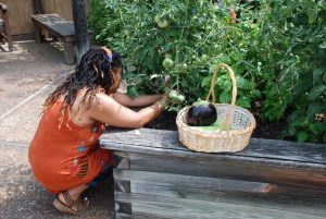 A woman picks vegetables from the horticultural therapy raised beds