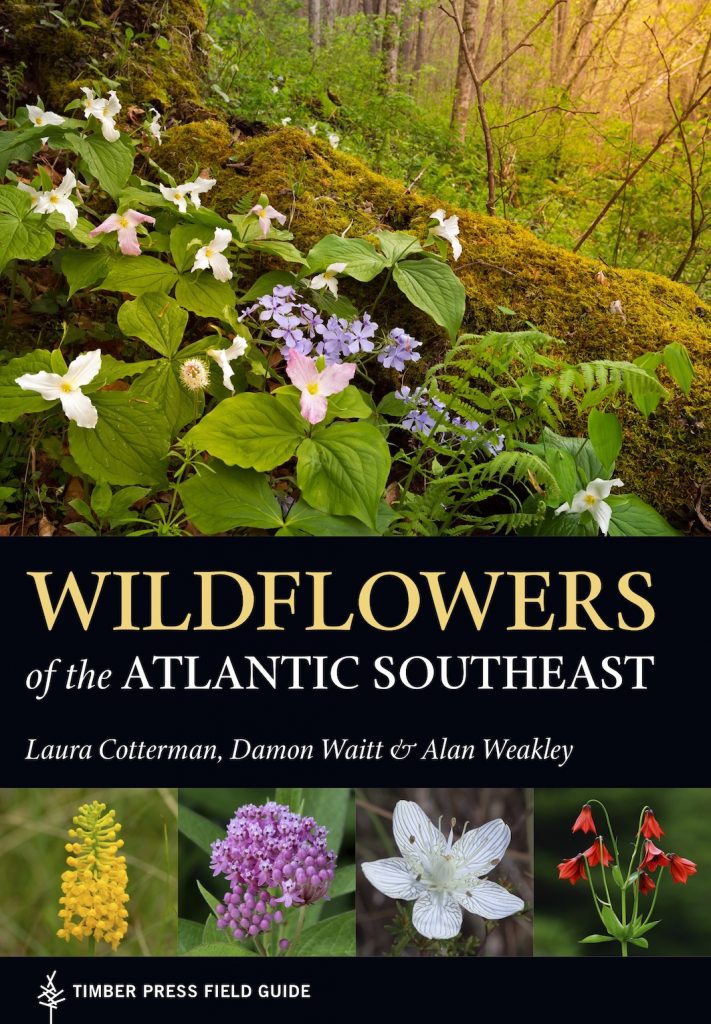 cover of Wildflowers of the Atlantic Southeast book