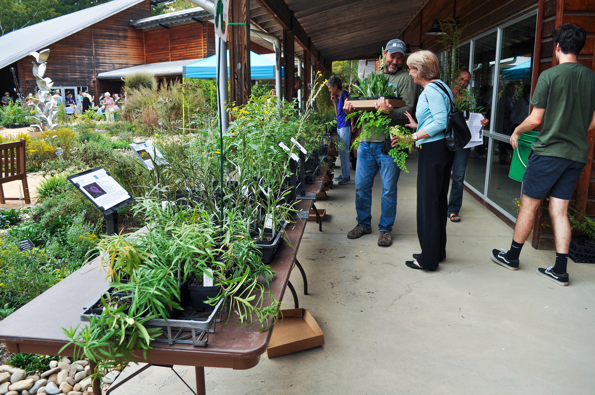 Trays of plants for sale set out on long tables outdoors at our Fall Plant Sale.