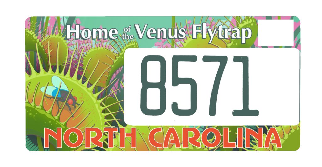 Venus flytrap license plate