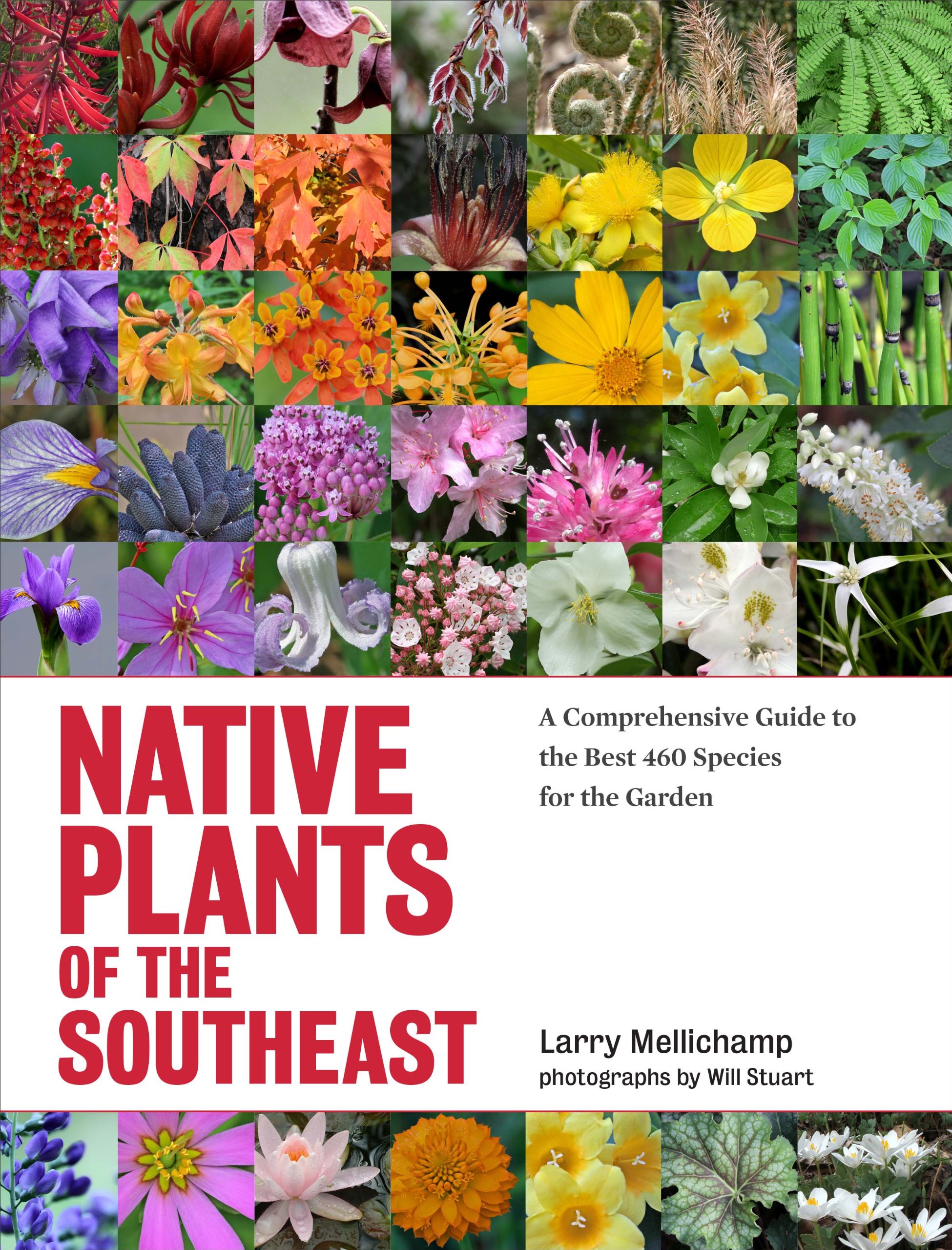 Native Plants of the Southeast book cover