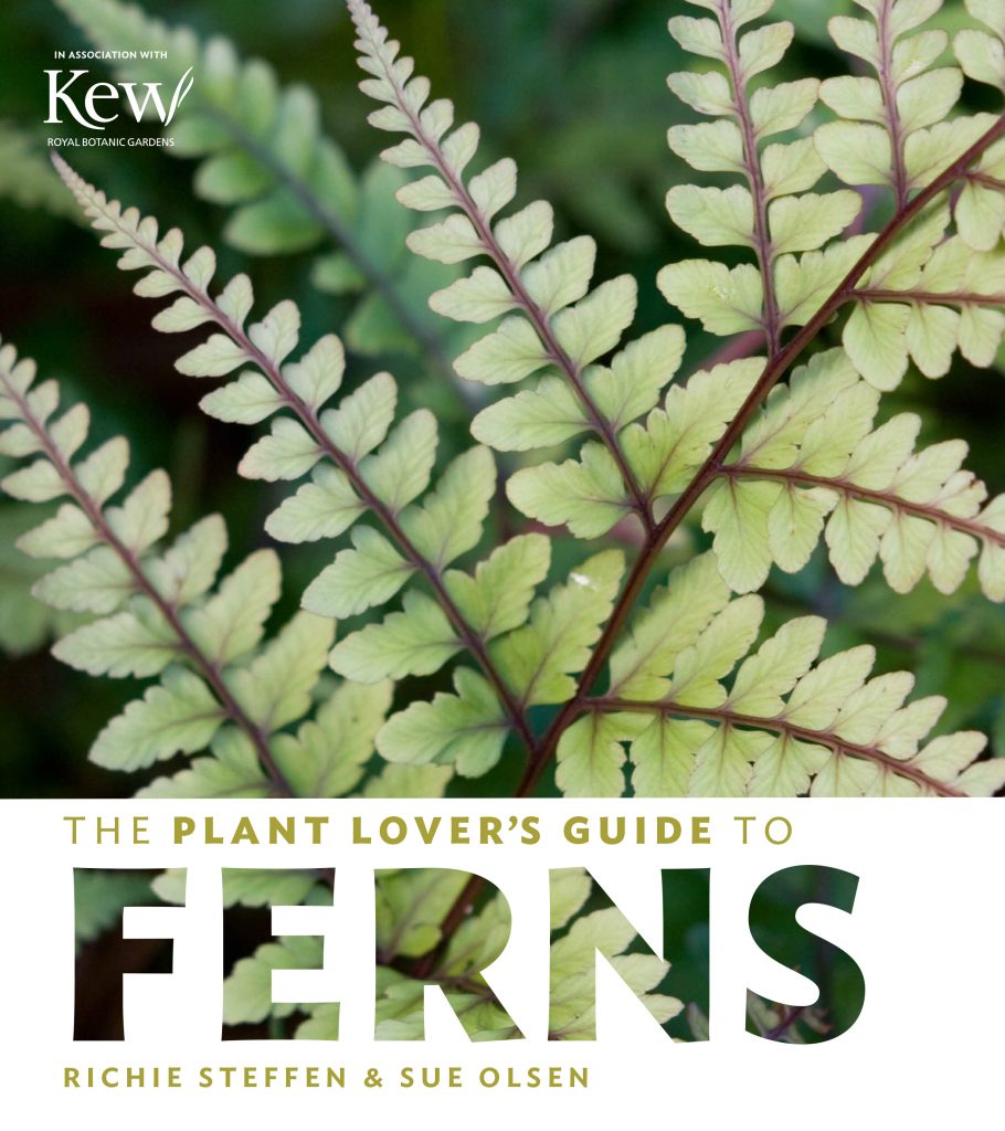 The Plant Lover’s Guide to Ferns book cover