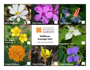 Wildflower Scavenger Hunt: eight flower images around a central title tile