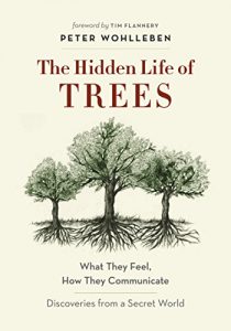 cover of hidden life of trees