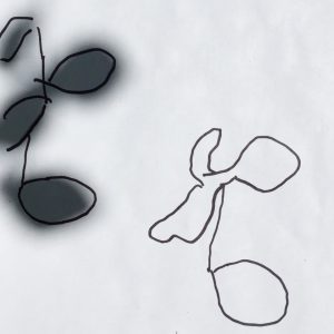 A shadow drawing, tracing shadows on white paper