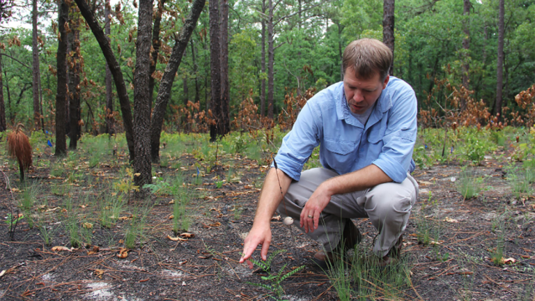 Mike Kunz, NCBG conservation botanist, points out a rare plant at Fort Bragg.