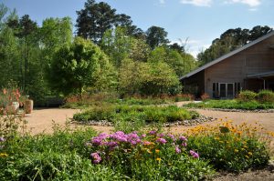 A Conservation Garden - North Carolina Botanical Garden