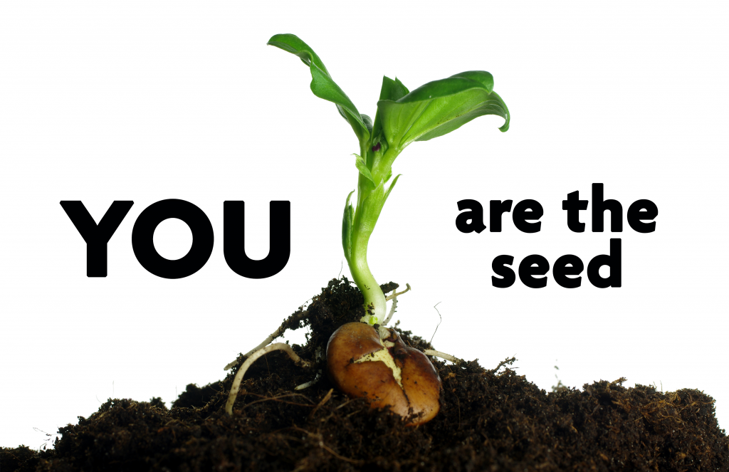 YOU are the seed in text with a seedling