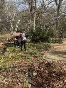 gardeners prepping beds with leaf mulch