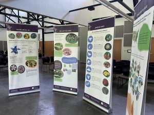 Four banner stands feature an educational exhibit about wildflowers