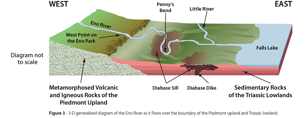 3-D generalized diagram of the Eno River as it flows over the boundary of the Piedmont upland and Triassic lowland. Illustration from NC Geological Survey .