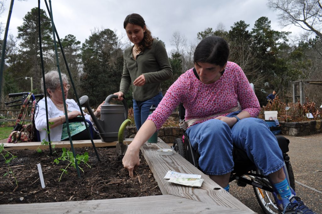 therapeutic horticulture, two people in wheelchairs and one other person gardening in a raised bed