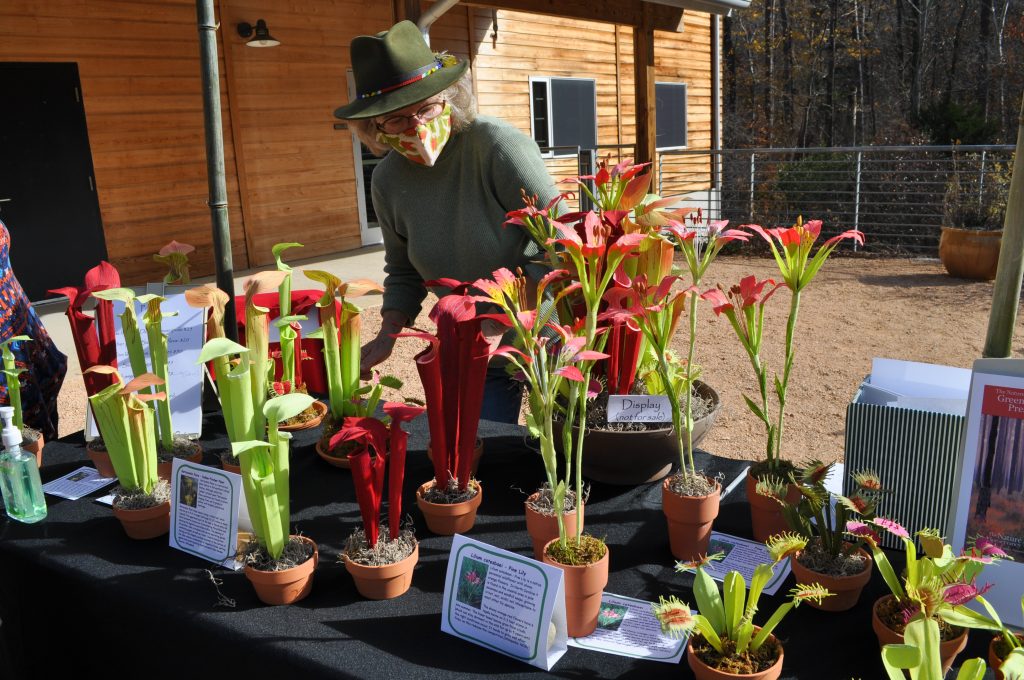 Cynthia Woodsong stands behind a table of her paper pitcher plants, venus flytraps, and lilies in our Courtyard Gardens