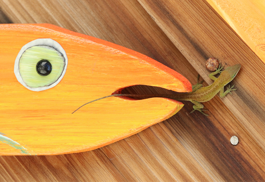 Photograph of an anole climbing out of the jaws of a wooden animal