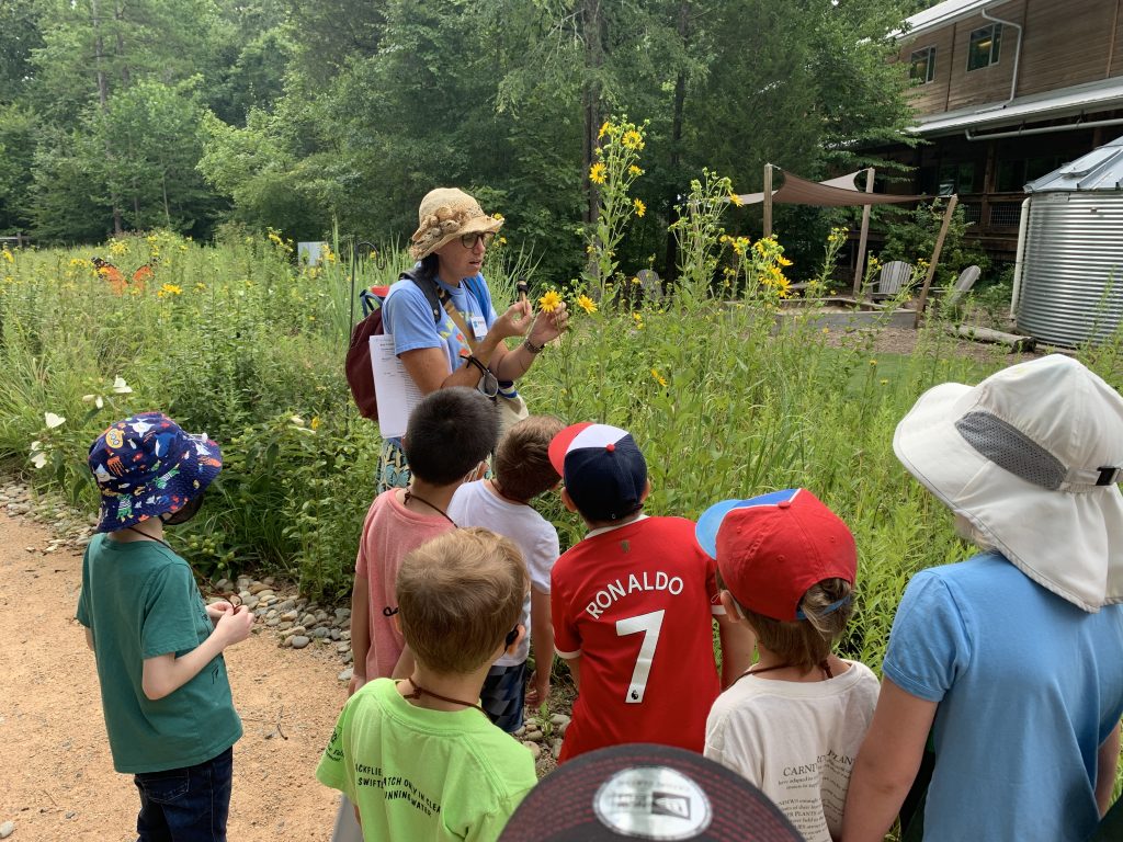 A camp environmental educator leads a group of campers through the Children's Wonder Garden