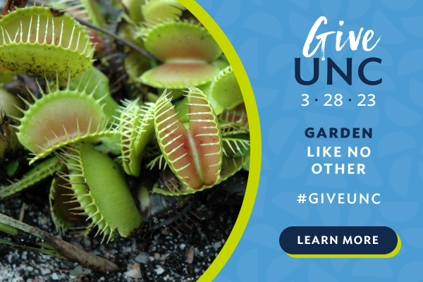 Graphic reading GiveUNC: 3/28/23, Garden like no other #GiveUNC with an image of a Venus flytrap
