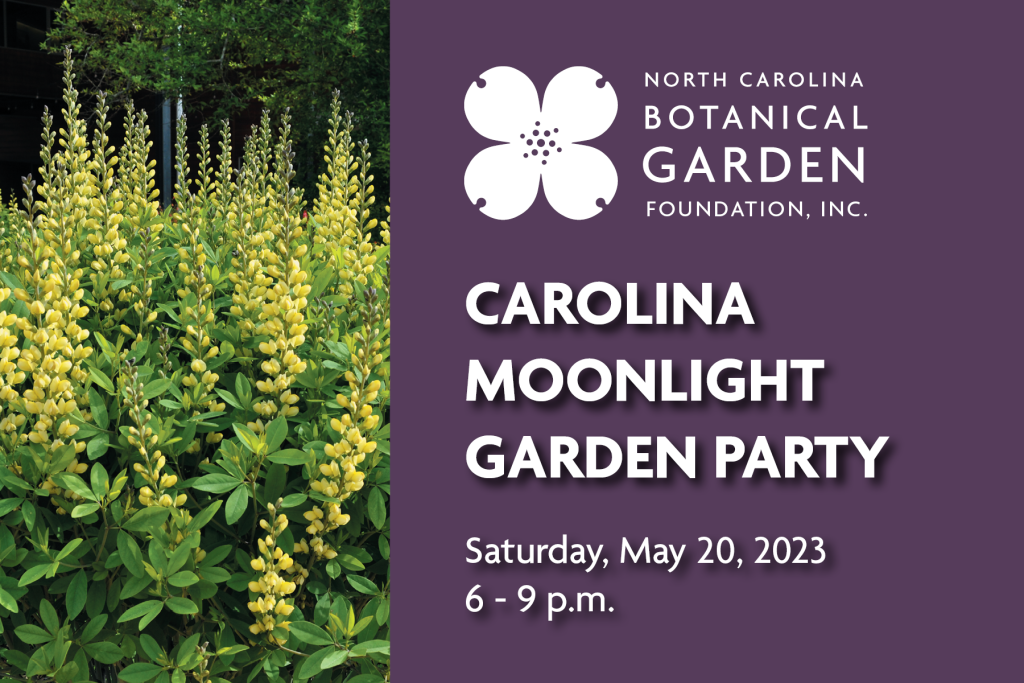Graphic for the Carolina Moonlight Garden Party, Saturday, May 20, 2023, 6-9 p.m. with Carolina Moonlight wild indigo in bloom