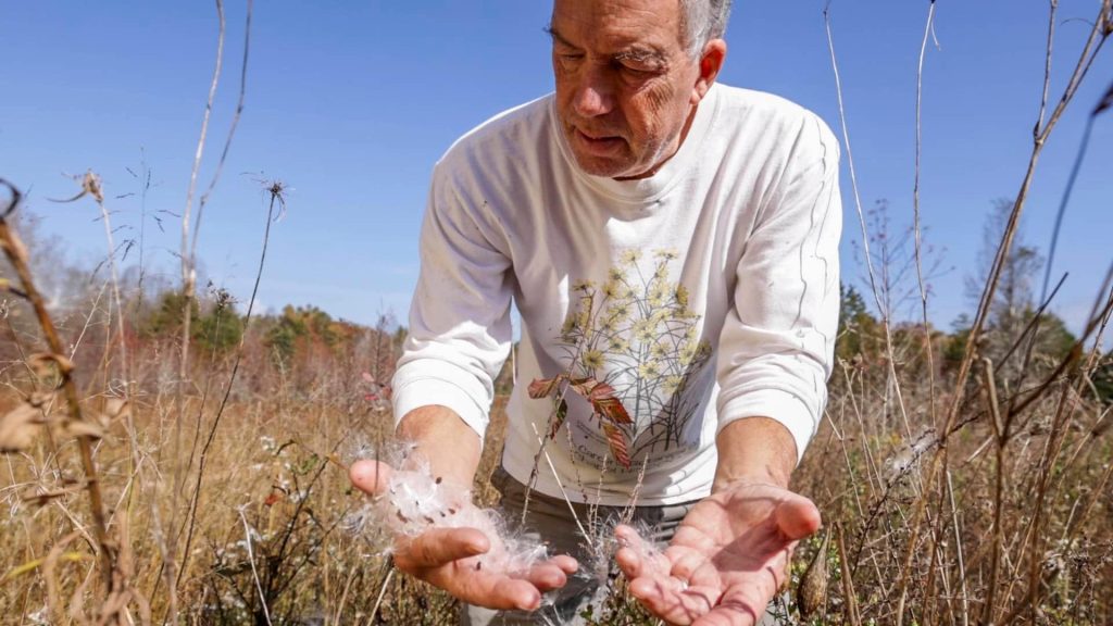Johnny Randall holds milkweed seeds at Penny's Bend