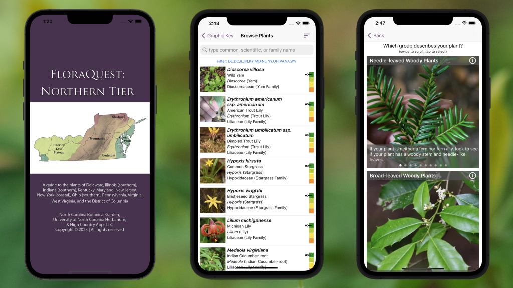 Graphic showing three screenshots from the FloraQuest Northern Tier app: the title page, a browsing list of plants with photos, and a screenshot from the graphic key.