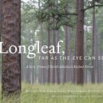 Cover: Longleaf, far as the eye can see
