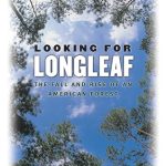 Cover: Looking for Longleaf