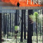 Cover: Painting the Landscape with Fire