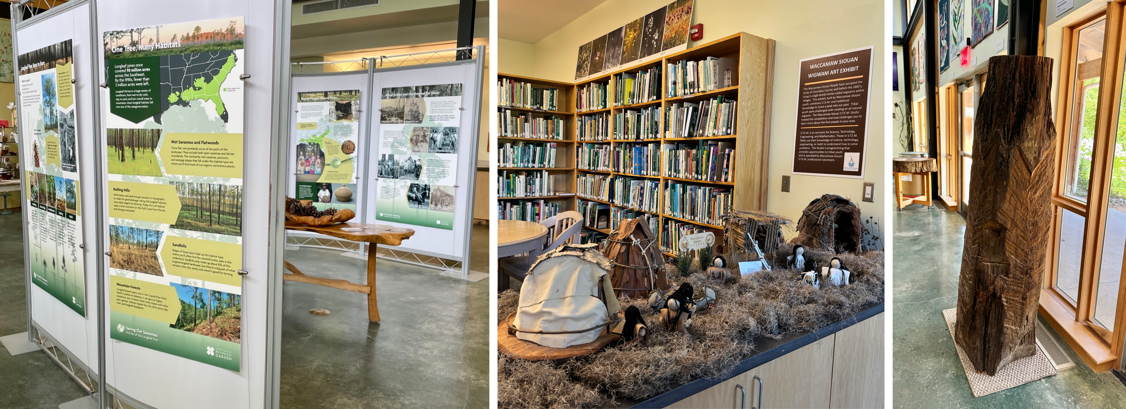 tiled graphic with a photo of the educational exhibit panels, a photo of the wigwam exhibit set up on the library counter, and a photo of the turpentined longleaf pine stump